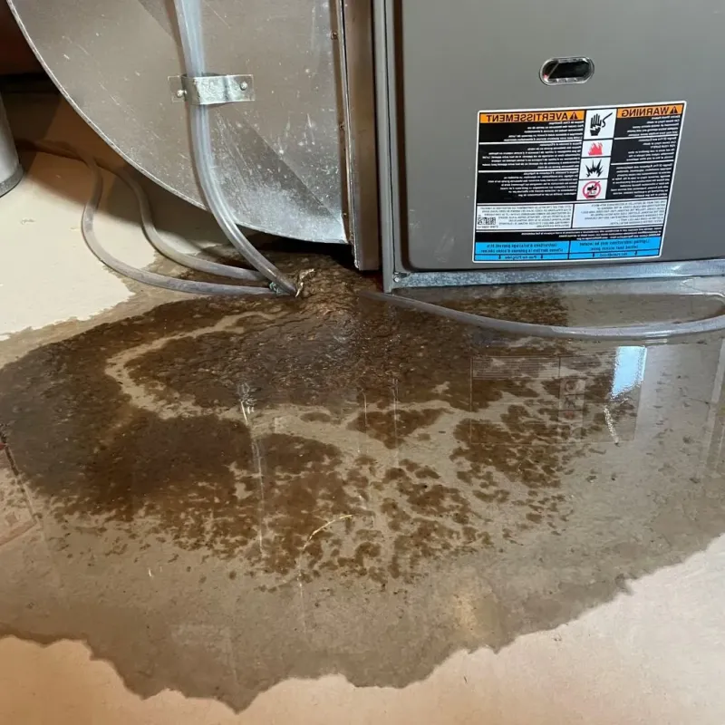 Pipe Burst and Leak Restoration in Cherokee County, OK